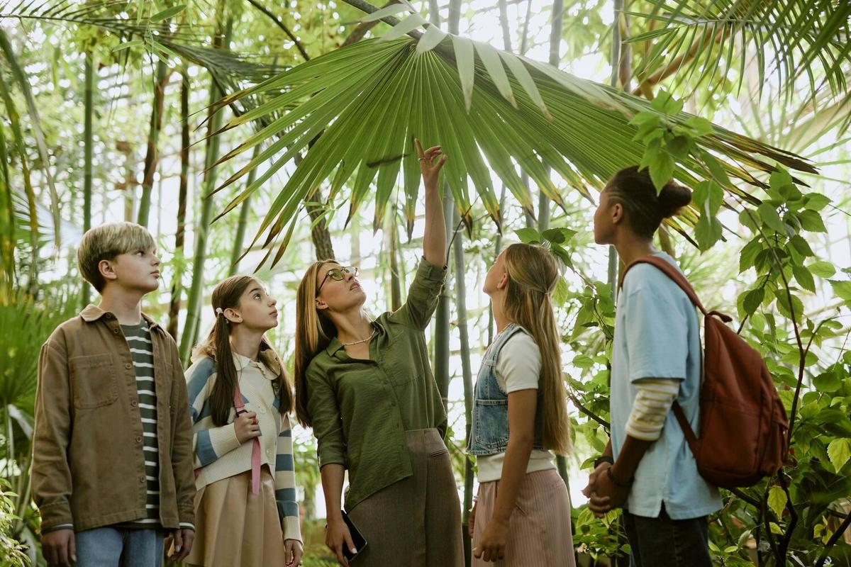 How to Reduce Your Carbon Footprint While Traveling